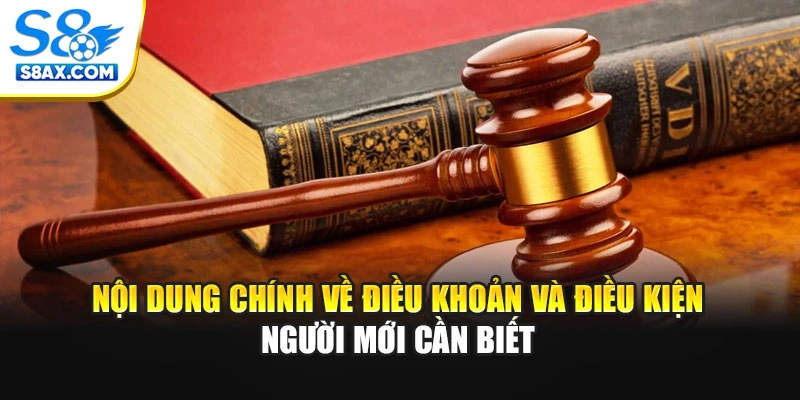 Nội dung chính về điều khoản và điều kiện người mới cần biết